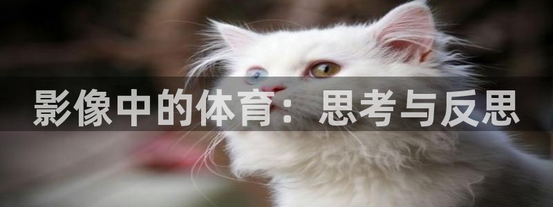 影像中的体育：思考与反思