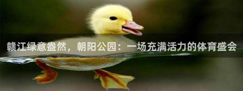 赣江绿意盎然，朝阳公园：一场充满活力的体育盛会