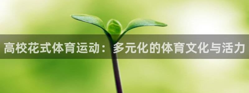 高校花式体育运动：多元化的体育文化与活力