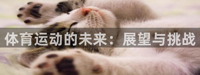 体育运动的未来：展望与挑战