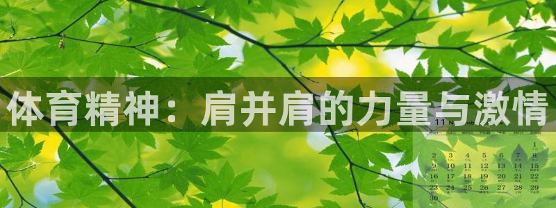体育精神：肩并肩的力量与激情