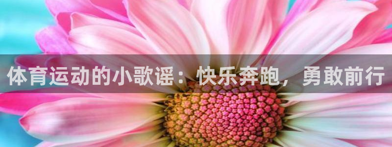 体育运动的小歌谣：快乐奔跑，勇敢前行