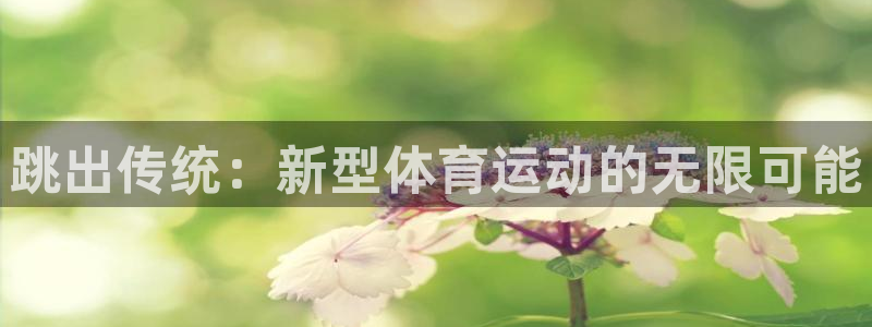 跳出传统：新型体育运动的无限可能