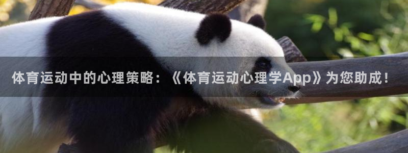 体育运动中的心理策略：《体育运动心理学App》为您助成！