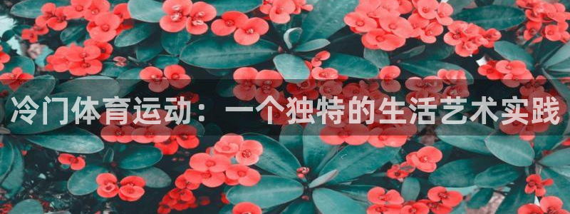 冷门体育运动：一个独特的生活艺术实践
