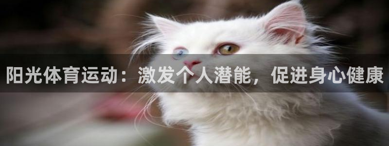 阳光体育运动：激发个人潜能，促进身心健康