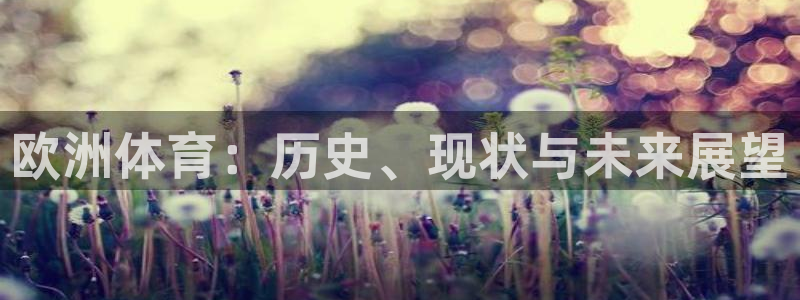 欧洲体育：历史、现状与未来展望