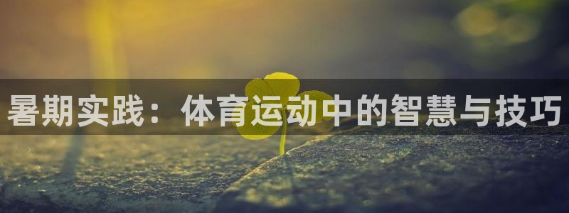 暑期实践：体育运动中的智慧与技巧