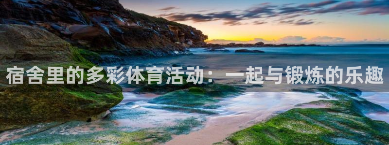 宿舍里的多彩体育活动：一起与锻炼的乐趣