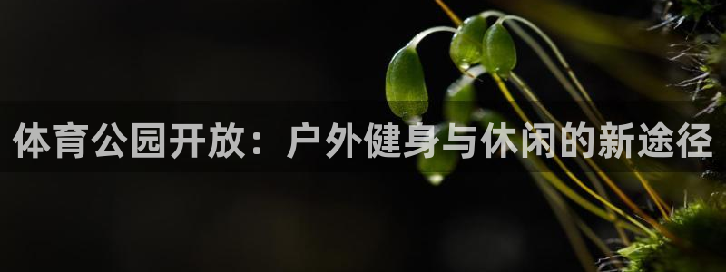 体育公园开放：户外健身与休闲的新途径