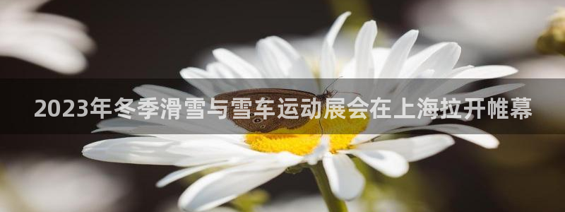 2023年冬季滑雪与雪车运动展会在上海拉开帷幕